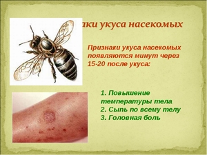 Опасные укусы насекомых
