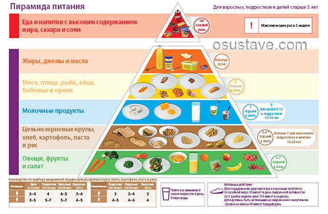 пирамида питания