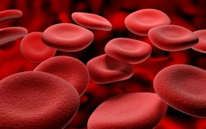 Как повысить гемоглобин в домашних условиях: естественные методы увеличения уровня гемоглобина в крови