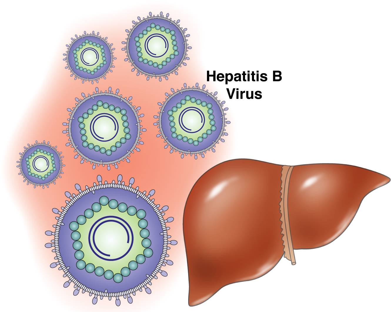 Причины гепатита В