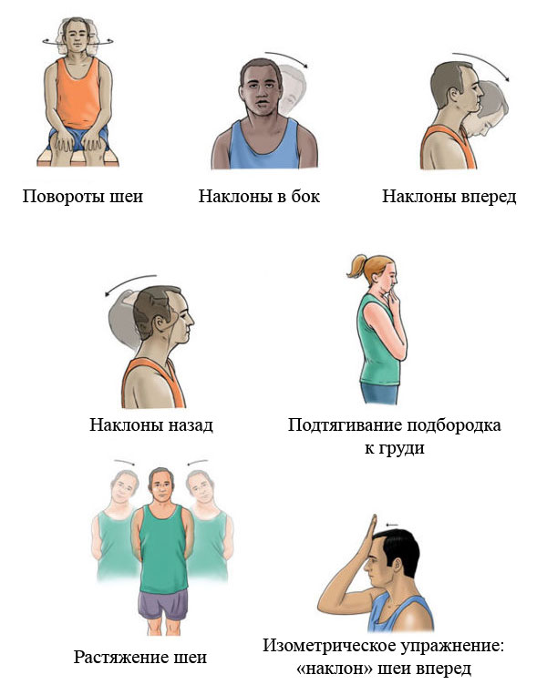 примеры упражнений для шейного отдела позвоночника