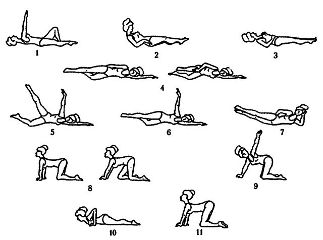 примеры упражнений лечебной физкультуры для мышц спины