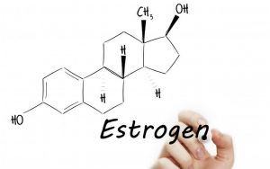 Эстроген: что это, предназначение, функции, виды, польза, уровень, лечение эстрогеном