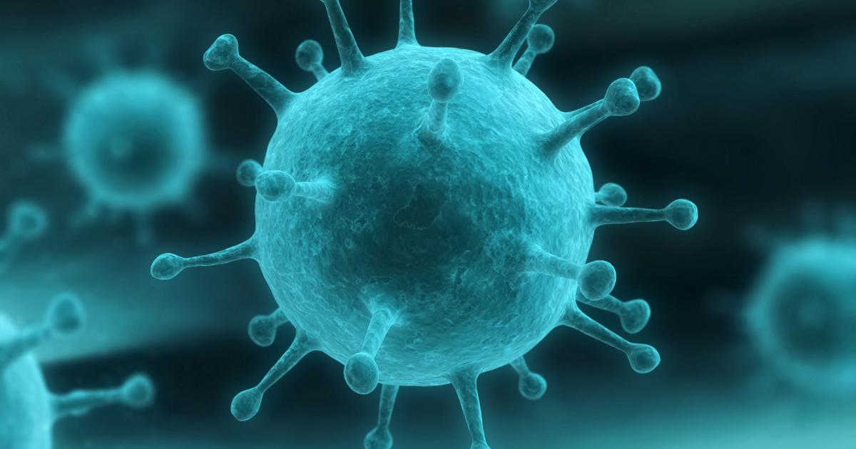Что такое вирусная нагрузка при гепатите С