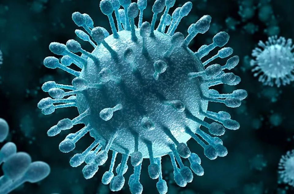 Вирус гепатита А