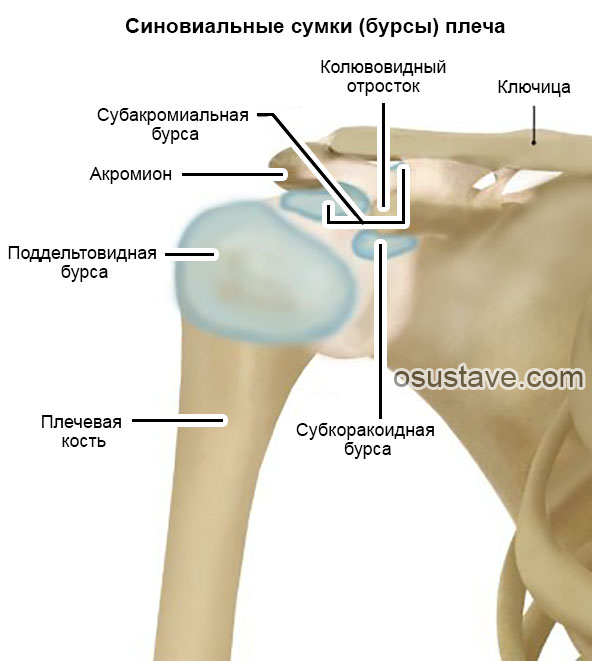 Сумка плечевого сустава